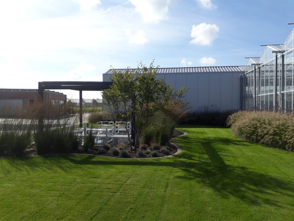Groenservice DLB gras zaaien